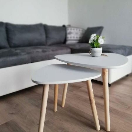 Appartement Cosy Proche Meteo France Et Airbus Toulouse Dış mekan fotoğraf