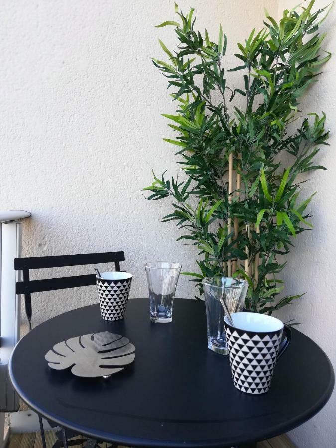 Appartement Cosy Proche Meteo France Et Airbus Toulouse Dış mekan fotoğraf